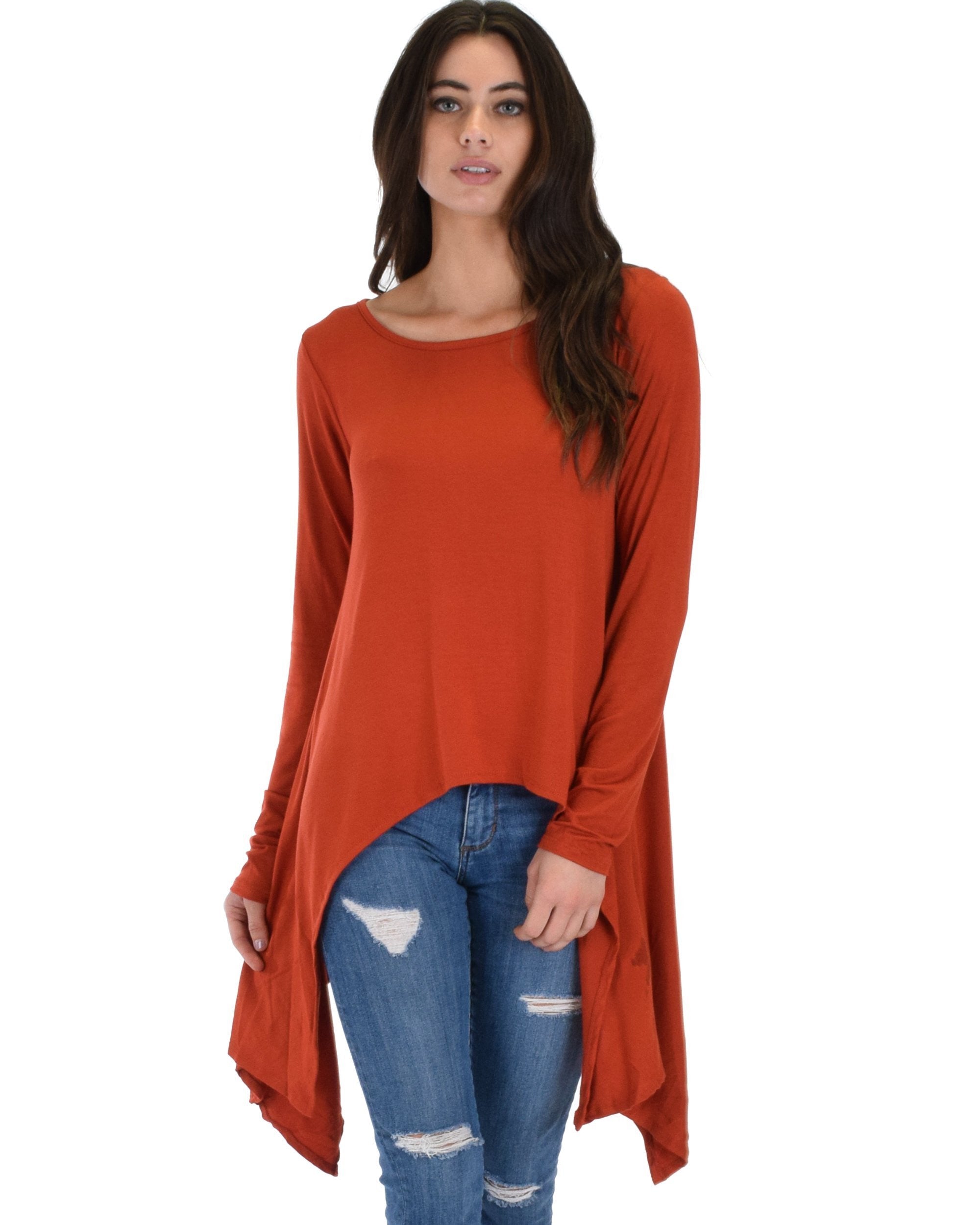 Shift and Swing Long Sleeve Tunic Top